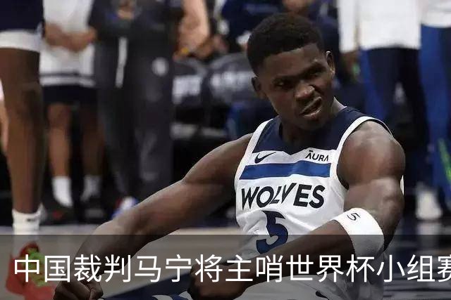 中国裁判马宁将主哨世界杯小组赛第二轮比赛